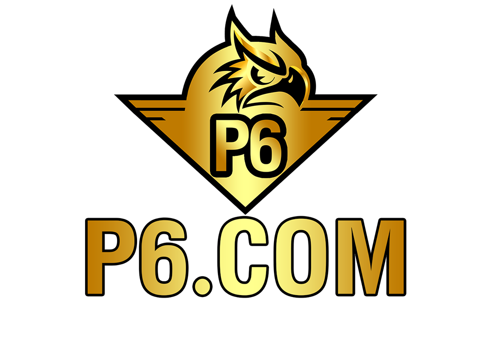 P6 logo